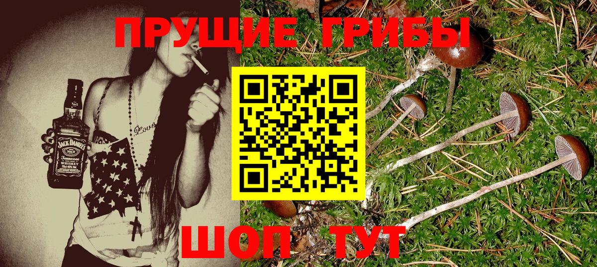 Галлюциногенные грибы Psilocybine cubensis  Вход с VPN  Бугульма 